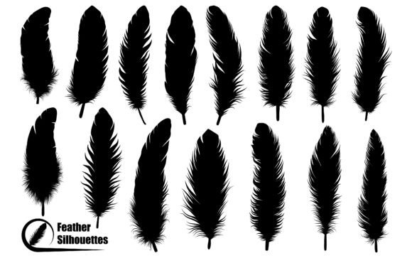 Download Bird Feather Silhouettes Vector Art - Art Collection
