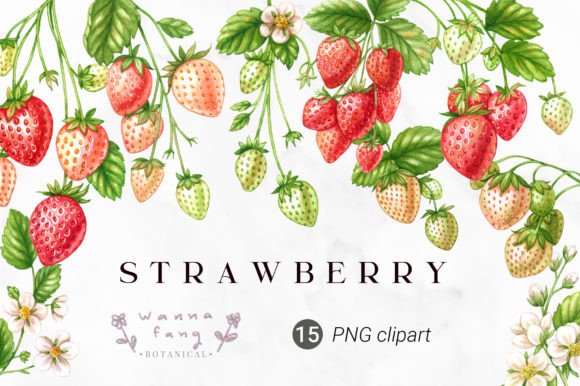 Download Strawberry Fruit Watercolor Clipart, PNG - Art Collection