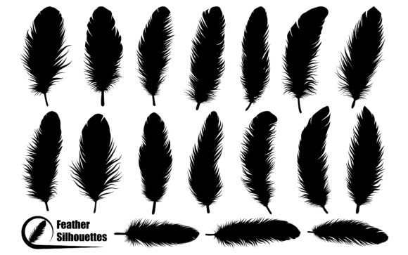 Download Bird Feather Silhouettes Vector Art - Art Collection