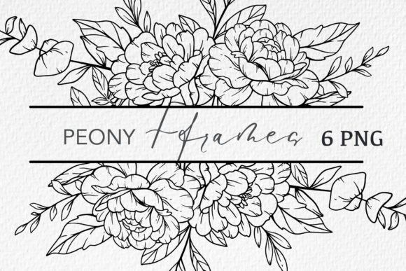Download Floral Line Art, Peony Line Drawing - Art Collection