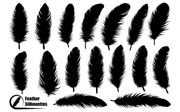 Download Bird Feather Silhouettes Vector Art - Art Collection