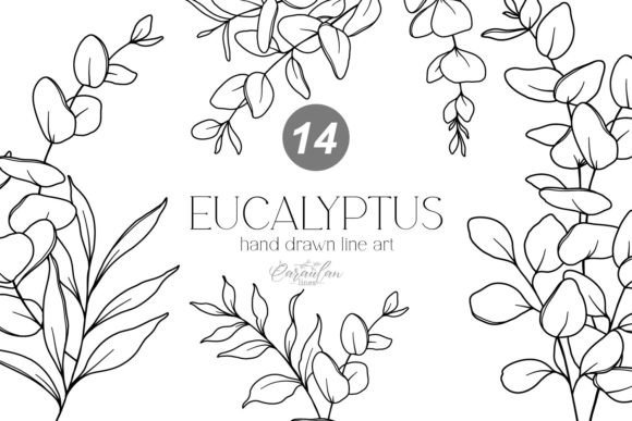 Download EUCALYPTUS LINE DRAWING, Floral Line Art - Art Collection