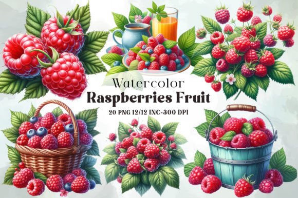 Download Watercolor Raspberries Fruit Clipart - Art Collection