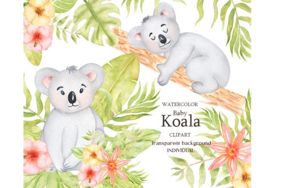 Download Watercolor Baby Koala Clipart Set - Art Collection