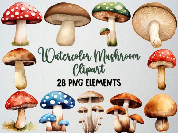 Download Watercolor Mushroom Clipart Set, 28 PNG - Art Collection